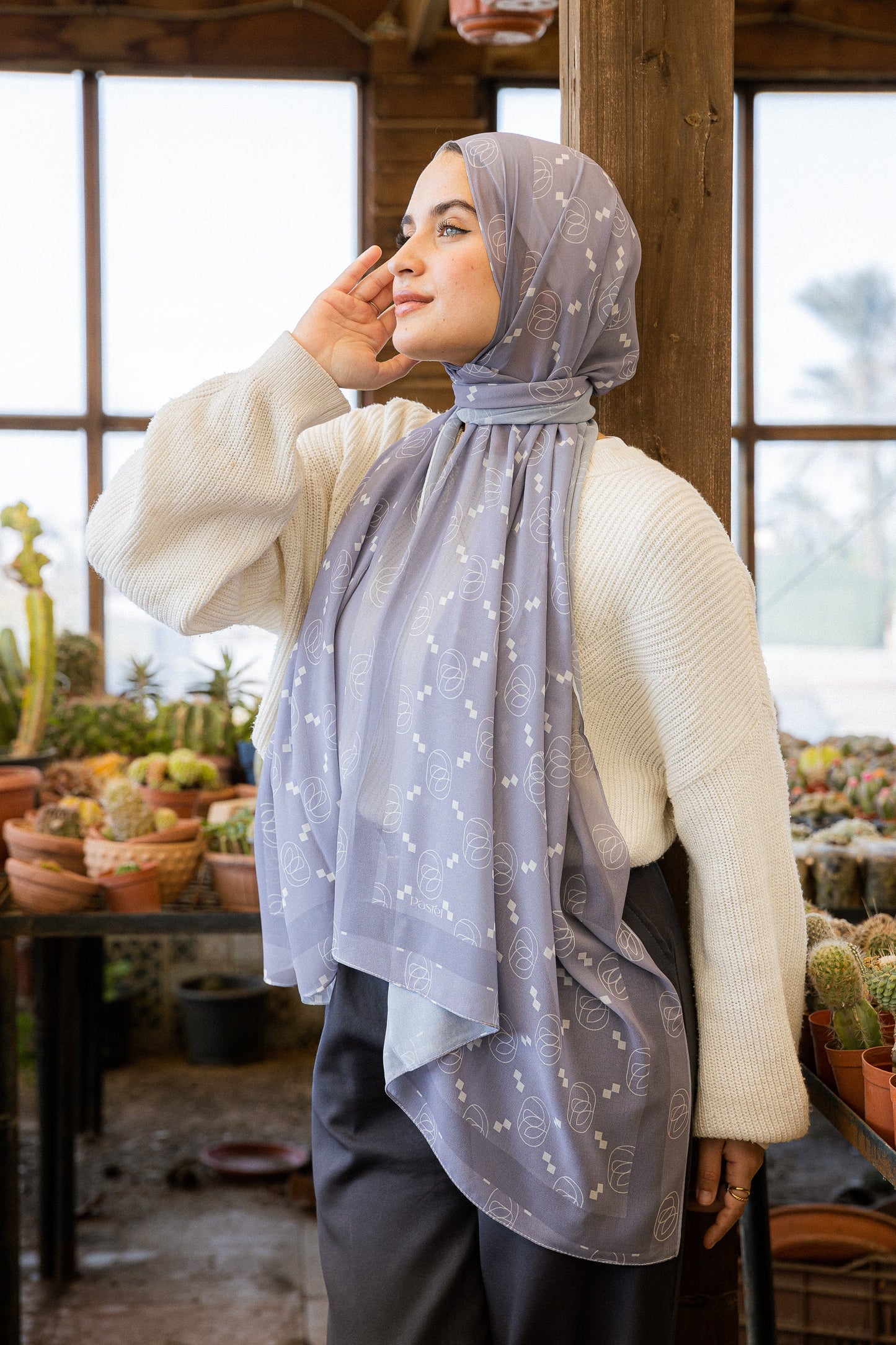 هادئ الرمادي