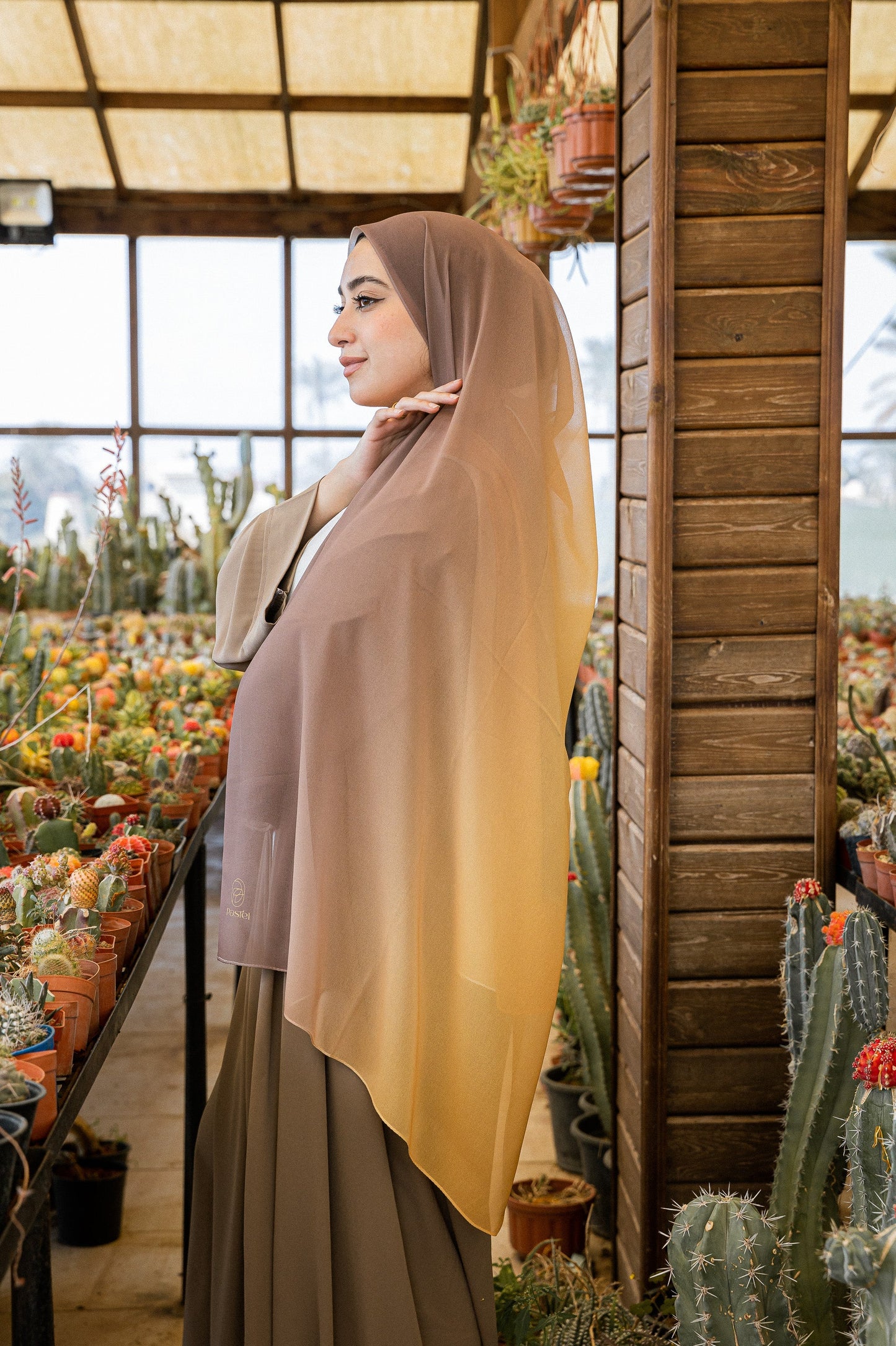 وهج الصحراء